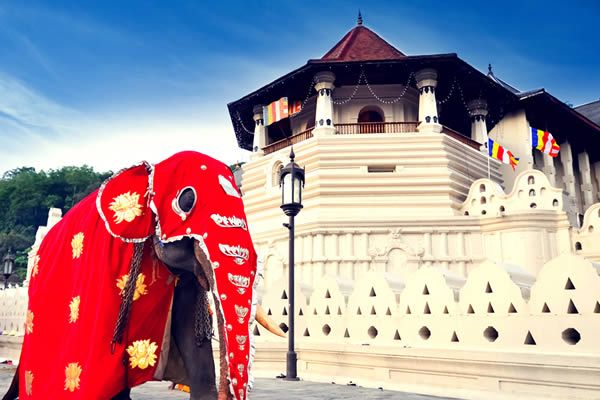 Srilanka Tour Package